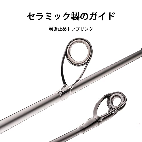 Dananier-HURRICANE シーバスロッド ベイトロッド スピニングロッド 超